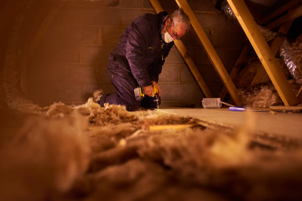 Types of Insulation We Offer in Adamsville, TN